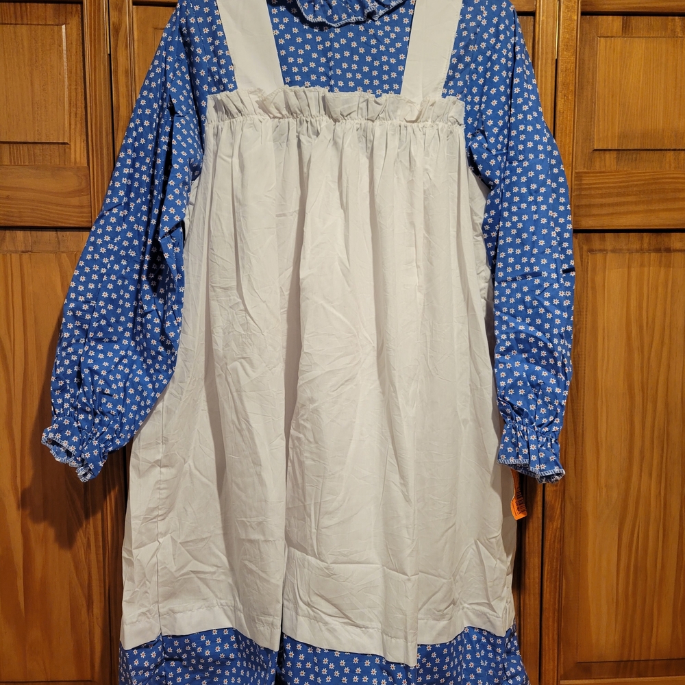 Blue and White Raggedy Ann Costume Dress